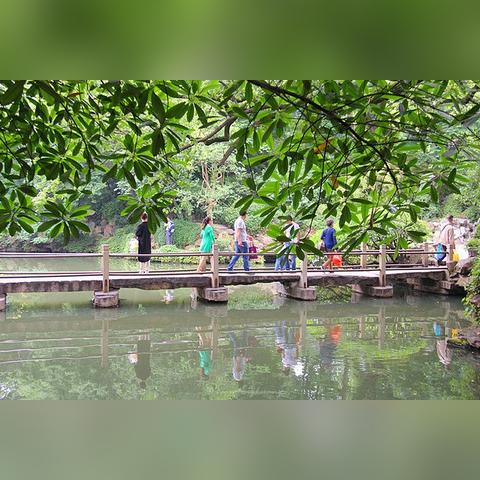 无锡市植被网价格的长尾关键词有什么