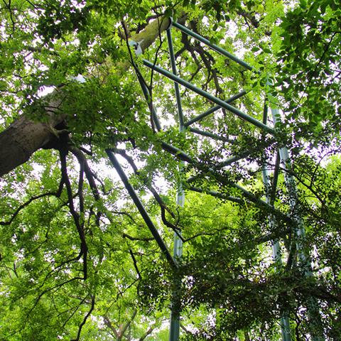 无锡市红鲤鱼的长尾关键词有什么