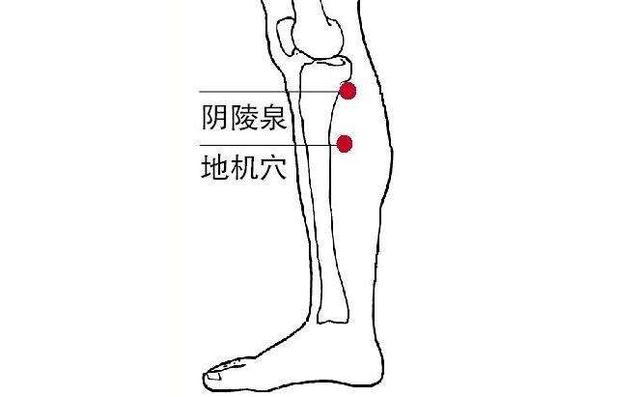 儿童也会得前列腺炎是真的吗