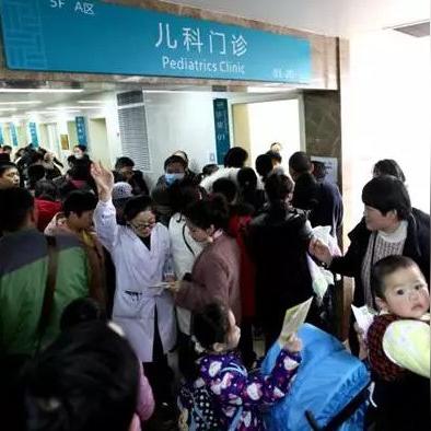 河南禽流感疫情的相关长尾关键词有哪些