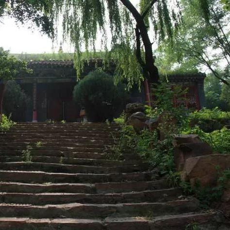 石家庄市小花园在哪个区