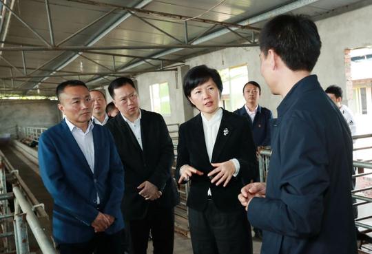 大安农民工返乡创业，党委政府这样支持你.