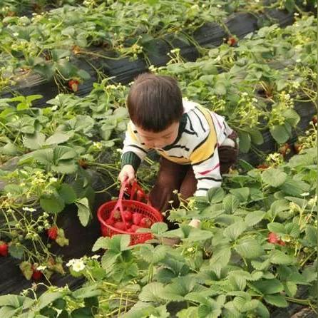 河南新乡大锅菜10元管饱？