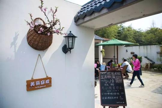 小庭院实现大梦想！浦东这个90后，在桃林深处打造一方创业天地→