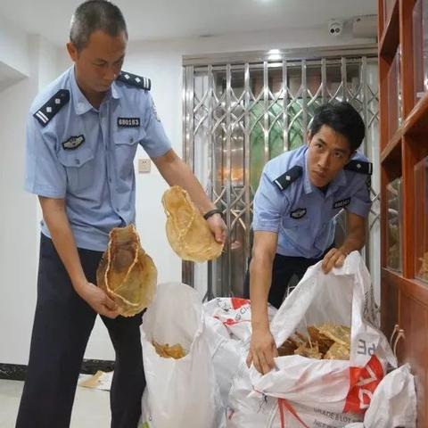 深圳市检察机关考什么