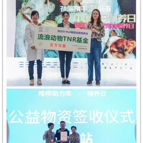 合肥市买宠物去哪里好