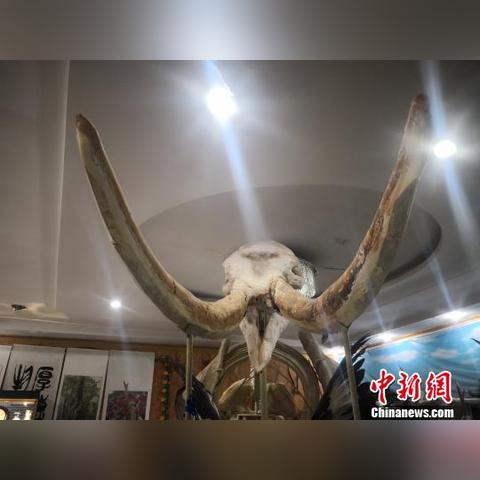 兰州市哪里有卖轻钢龙骨