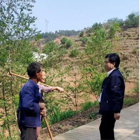 广东省佛山市禅城区水城的长尾关键词有什么