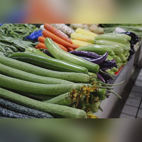 【合肥今日菜价】2025年6月16日合肥菜价是多少