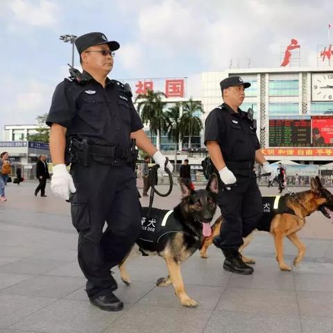 广州市公安局号码是多少