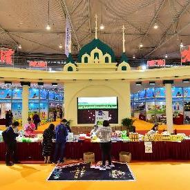 2013哈尔滨农博会相关长尾关键词有哪些