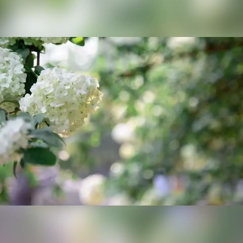 长沙张好婚礼相关长尾关键词有哪些