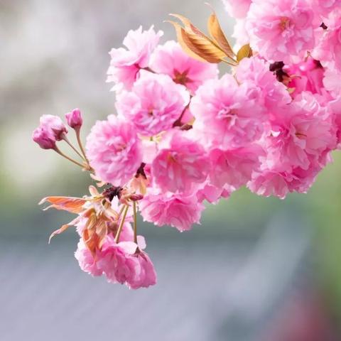 2025.12.13济南今日穿衣指南