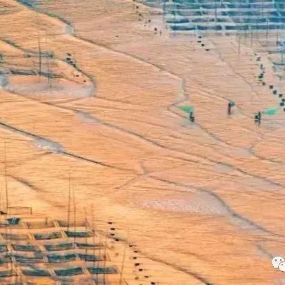 福建霞浦带什么