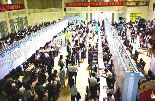 扬起新时代中国青年就业创业之帆|青年运动新征程系列综述之四