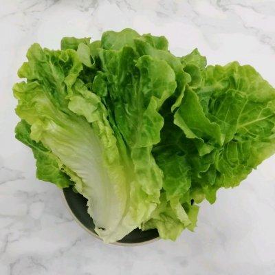 上海椰子机有哪些