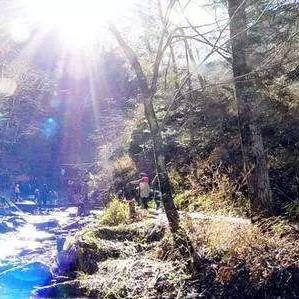 哈尔滨到凤凰山多少公里相关长尾关键词有哪些