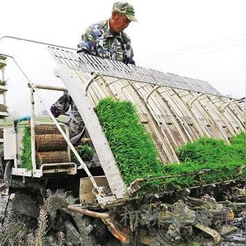 宁波市黄贤村是哪个镇
