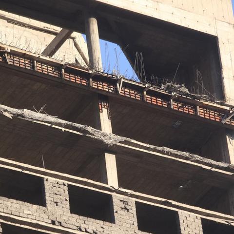 哈尔滨日报数字报相关长尾关键词有哪些