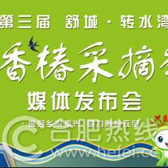 合肥规划愿景相关长尾关键词有哪些