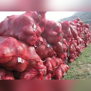 临沂市去南阳方向的列车的长尾关键词有哪些