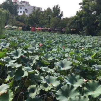 无锡市游园卡在哪里办理