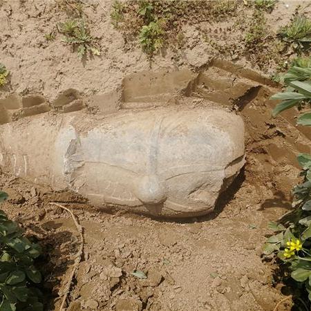 江苏州常熟市支塘租门面房的长尾关键词有什么