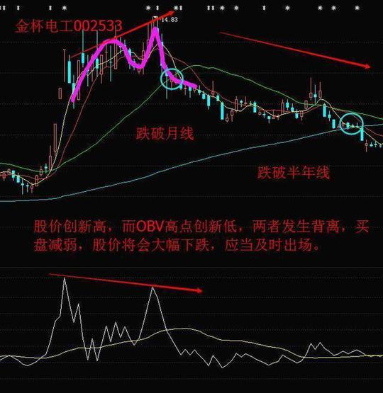 股市中只有1%的懂的神秘冷门指标，唯一能发现主力行踪的方法，主力怒骂卑鄙无耻