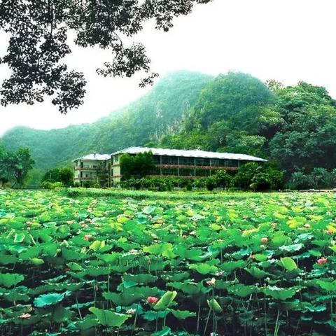 从龙山到桂林多少公里相关长尾关键词有哪些