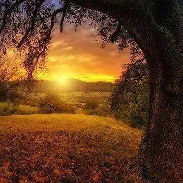 炫耀是什么意思