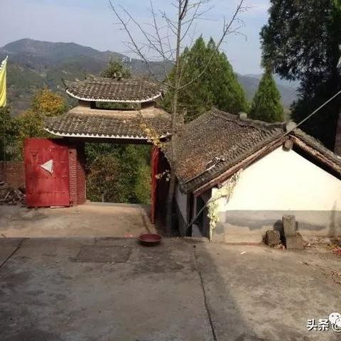 河南卢氏县木耳的相关长尾关键词有哪些