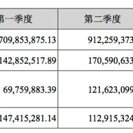 苏州市华灿光电怎么样