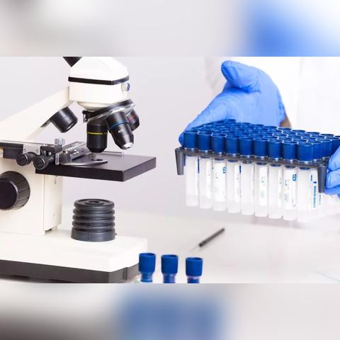 [苏州 医药代表]相关长尾关键词有哪些