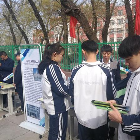 哈尔滨中考艺术类相关长尾关键词有哪些