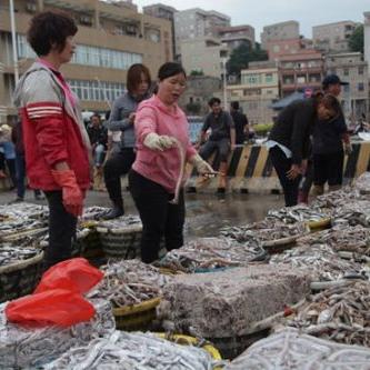 福建石狮祥芝捕鱼招聘的相关长尾关键词有哪些