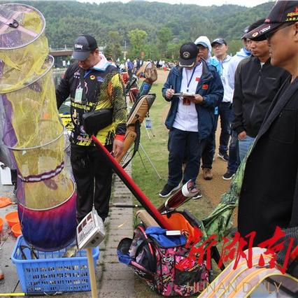 河南临湘属于哪个省