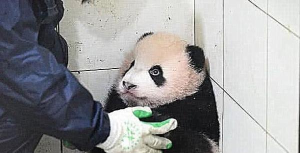 看见孩子调皮就容易生气怎么办