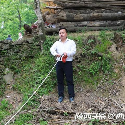 保定市哪里有中药材市场