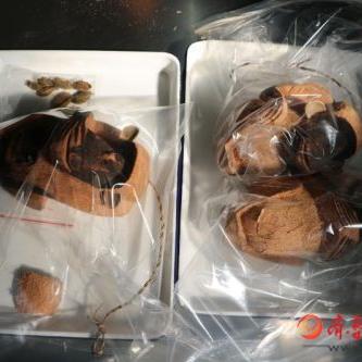 告济南市海关去什么法院