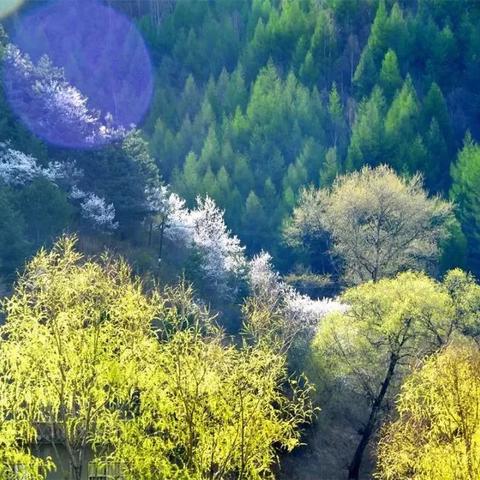石家庄市周边免费的山峰的长尾关键词有什么
