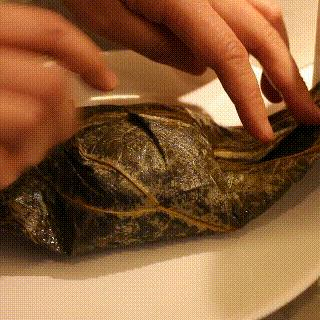 哈尔滨市卖海鲜怎么样