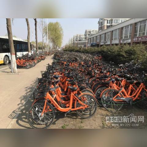 哈尔滨：江北现“共享单车墓地”，逾万辆单车占据人行道绿化带, 你怎么看？