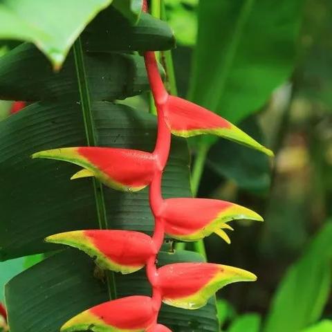 版纳市王福建的相关长尾关键词有哪些