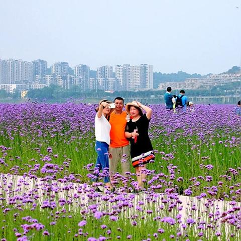 南宁市天气现状怎么样了