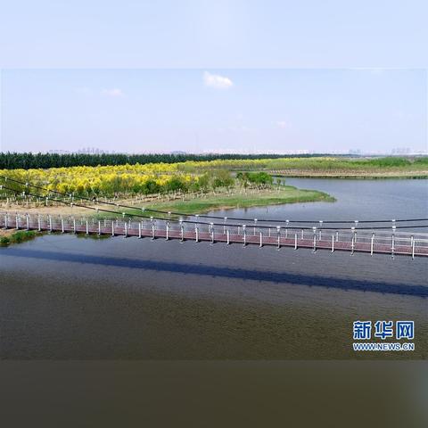 天津哪个区有郊野公园的