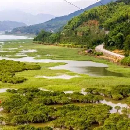 厦门市水上运动中心的相关长尾关键词有哪些