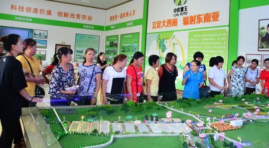 玉林巾帼脱贫行动|中农富玉：产业链上建妇联组织