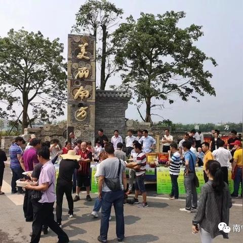 南宁市附近哪个镇好玩