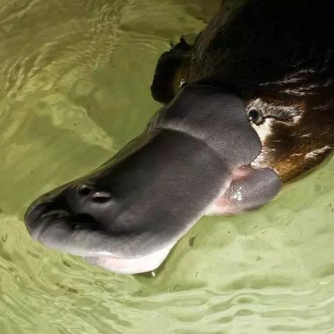 长沙市唯生物科技怎么样