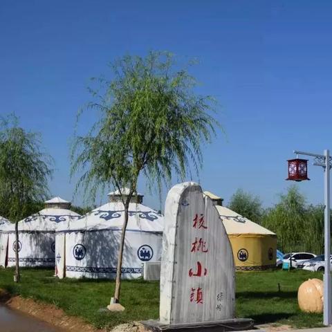 石家庄市代金券在哪里领